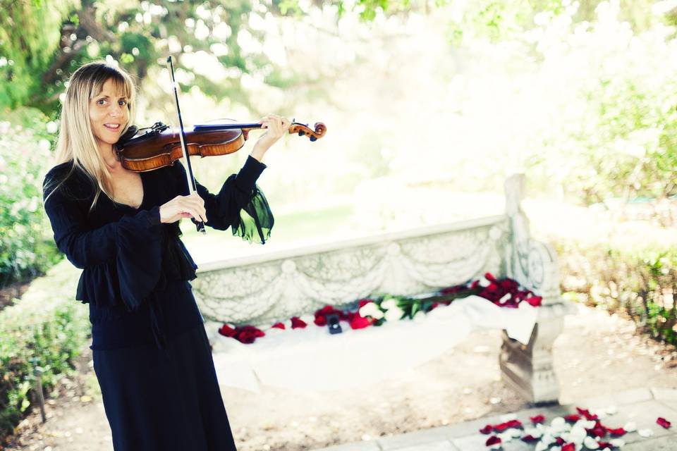 Jennifer Argenti - Violinist and More!