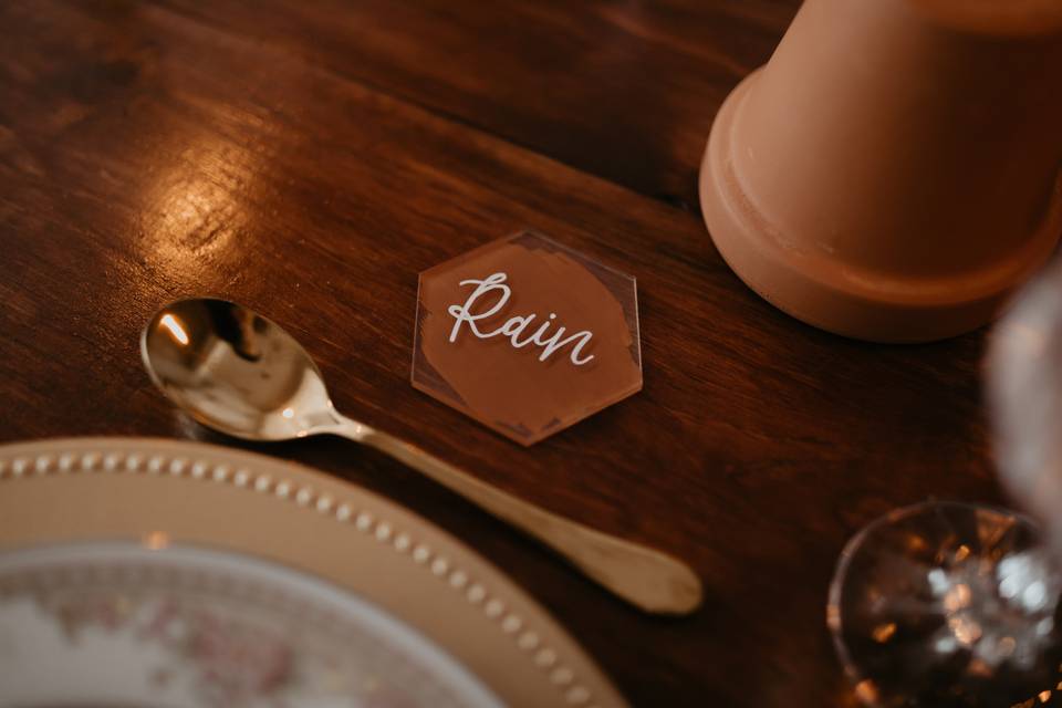 Painted Acrylic Place Cards