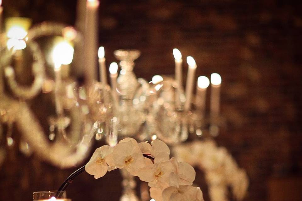 Orchids & Candlelight