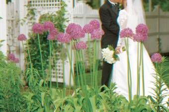 Wedding ceremony