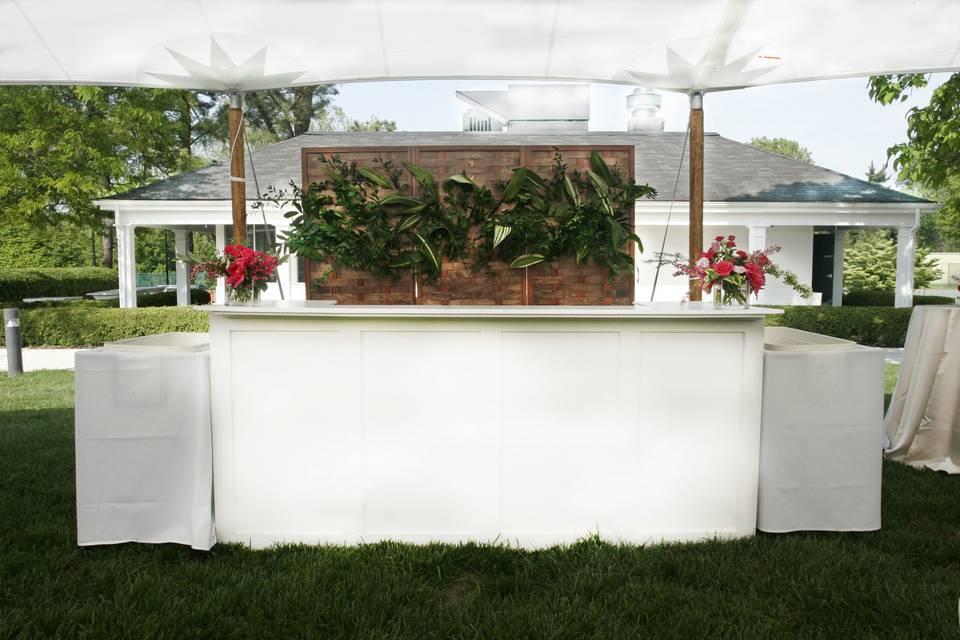 Shelly bar and fruitwood backdrop