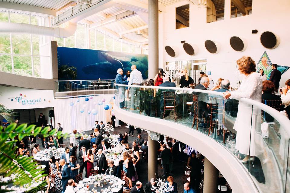 PPG Aquarium sweet table