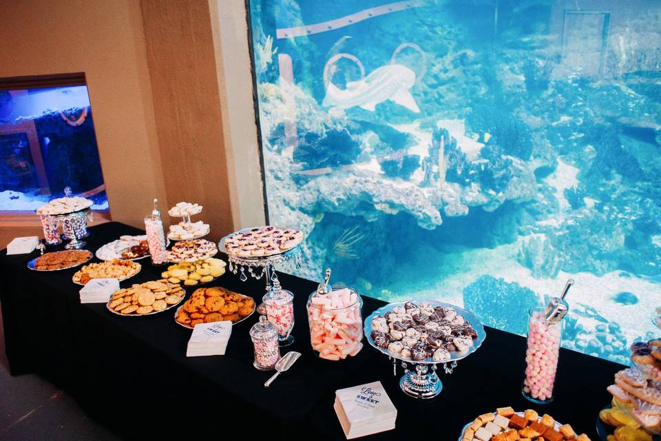 PPG Aquarium sweet table