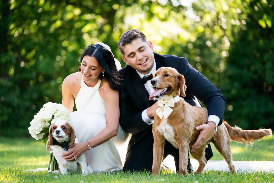 We’re Pet Friendly! 🐾