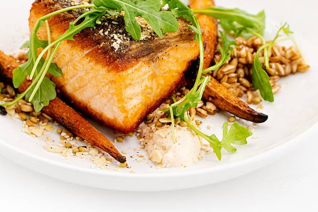 Salmon