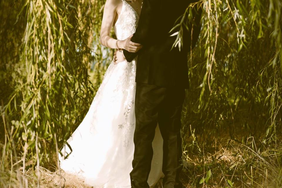 Embraced by the willow