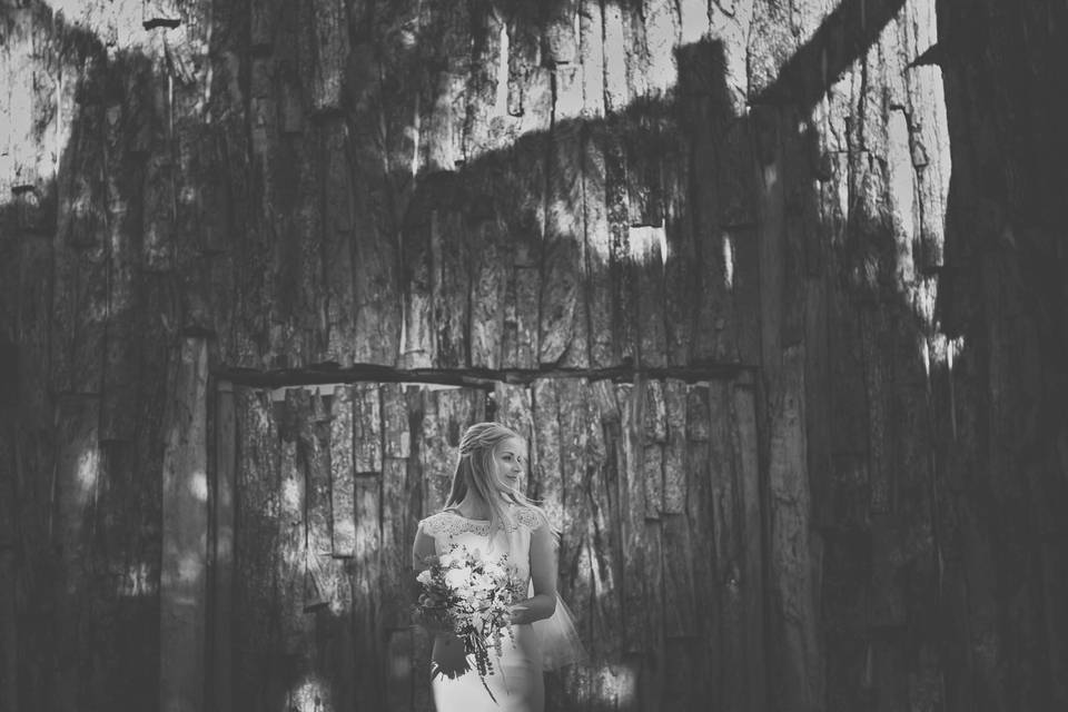 Quetzal Wedding Photo