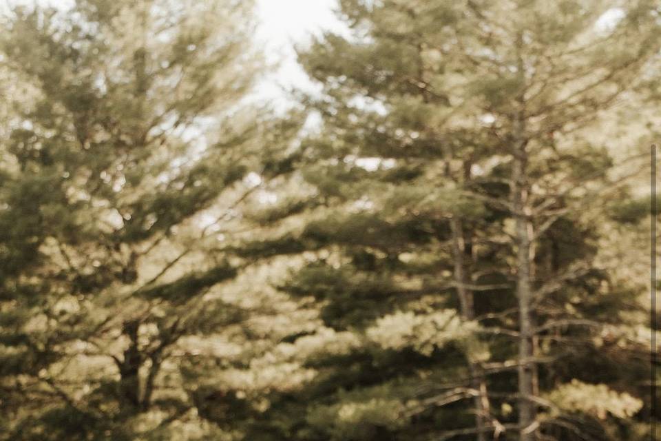 Arrowhead Weddings