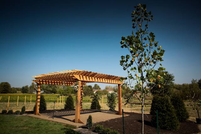 Finley Creek Vineyards