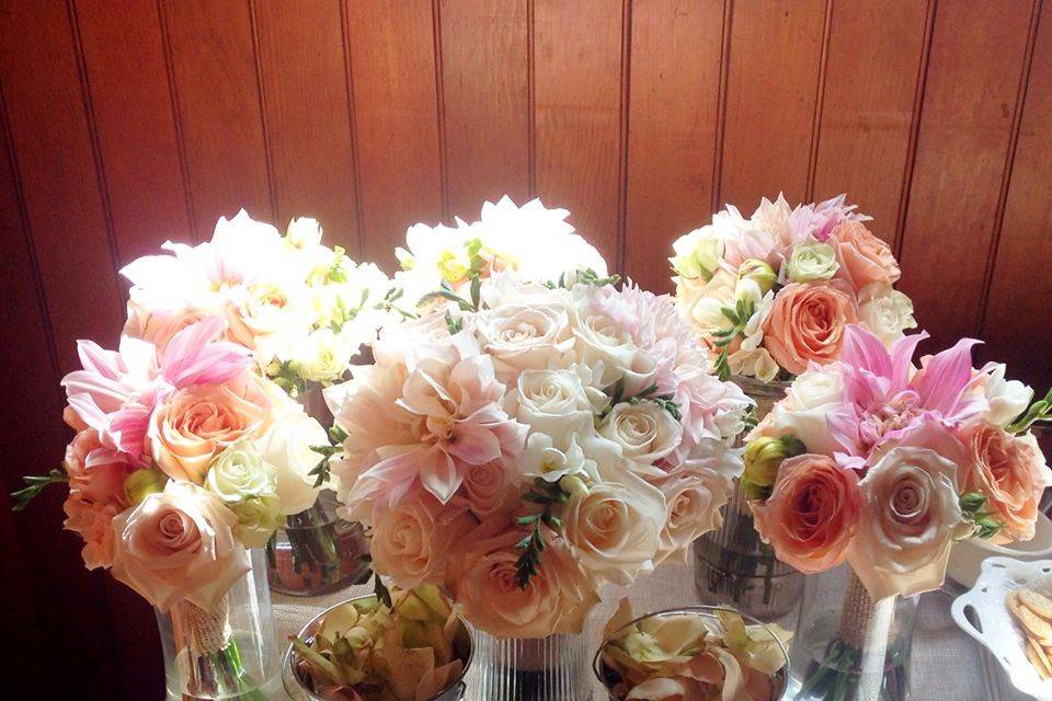 Hand Tied Bouquet of Soft Pinks, Champagne, Peach, and Ivory Flowers for a Vintage Country wedding.
A Floral Affair,  Photo Credit: Appleseed Stories Reno, Nevada
Bridal Bouquet: Café Au Lait Dahlias, Freesia, Roses