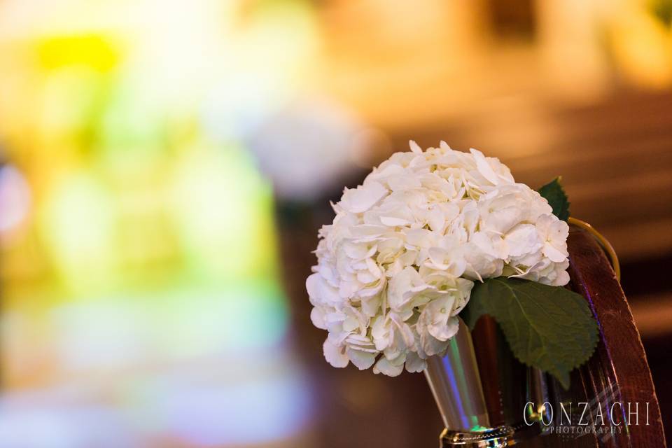 Aisle Flowers
Hydrangea
Floral by A Floral Affair
Photo by Conzachi Photography