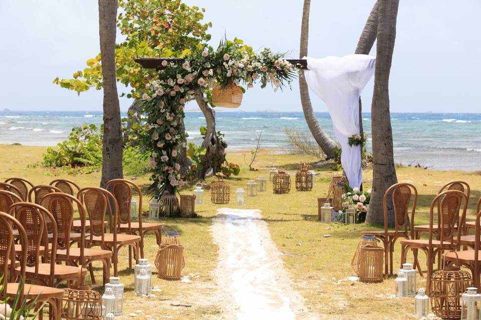 Palomino Wedding