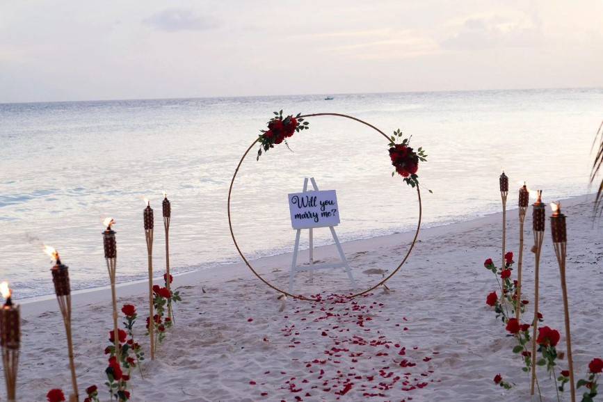 Proposal by the sea