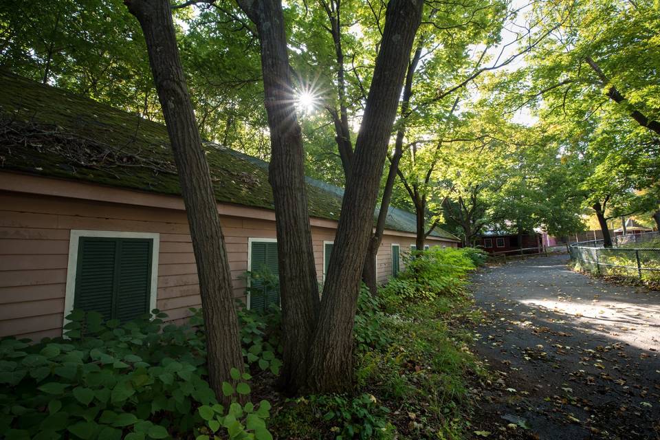 Grounds at The Old Game Farm