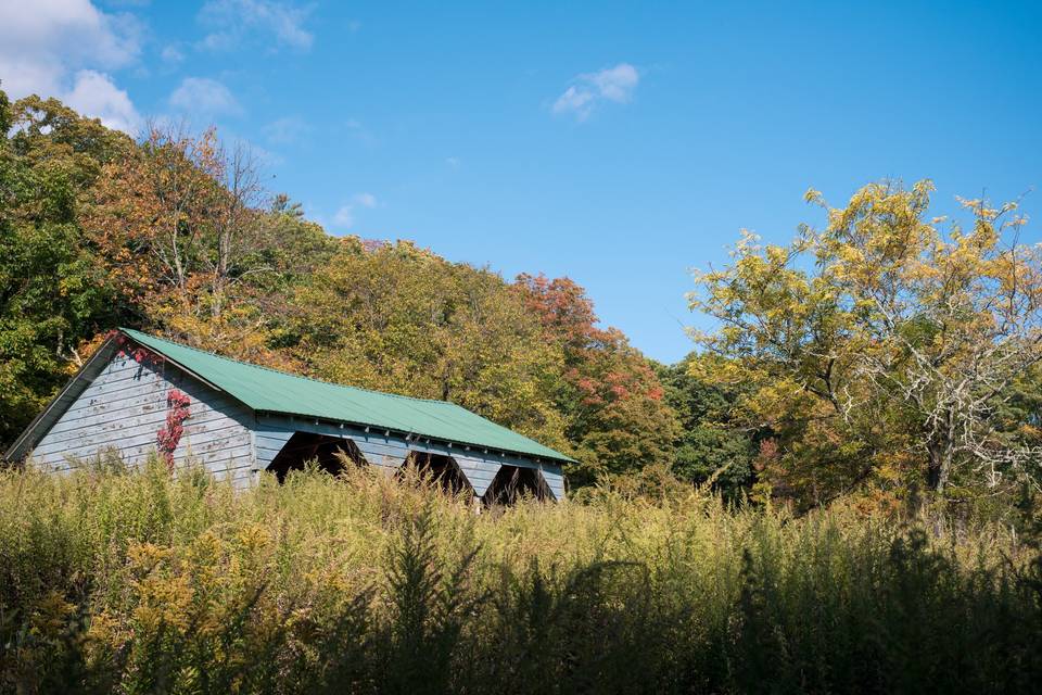 Open fields