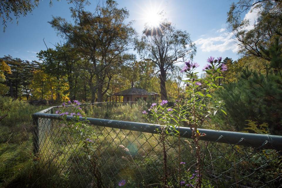 Grounds at The Old Game Farm