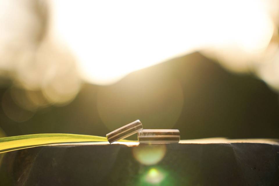 Rings at sunset