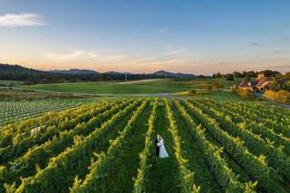 Early Mountain Vineyards