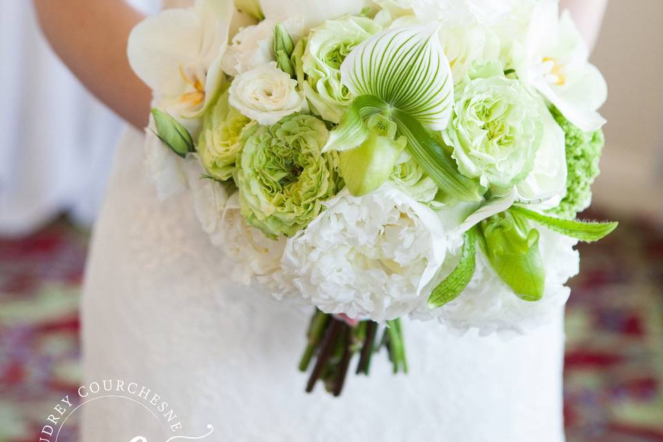 Perfect white roses