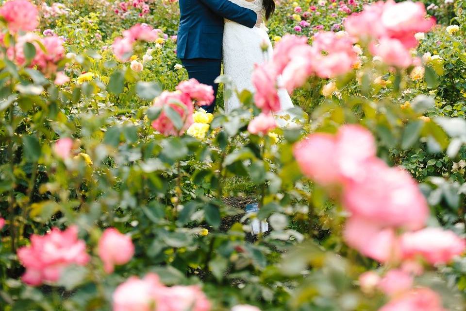 Rose Garden Wedding