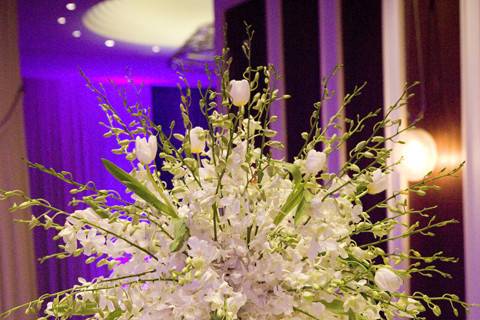 Dramatic centerpiece