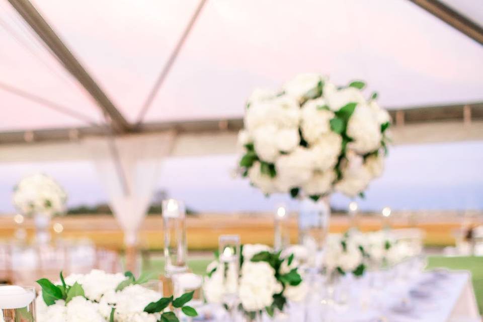 Tent Wedding