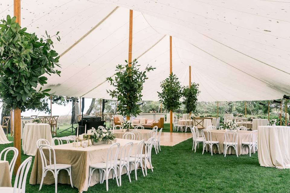 Tent Wedding