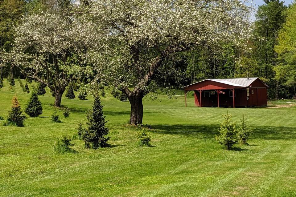 Tuckaway Tree Farm