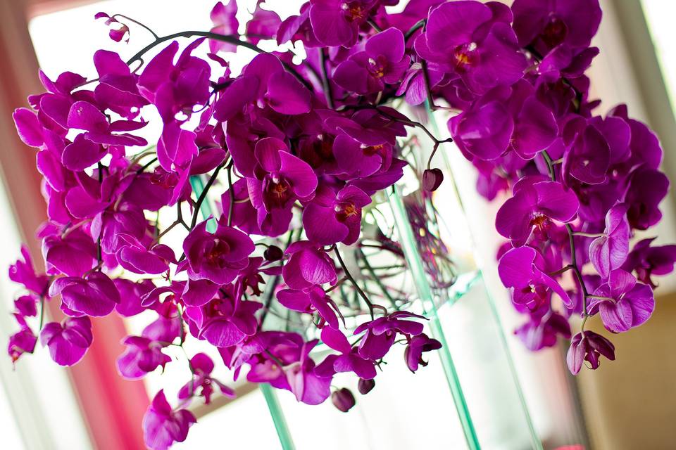 Lavish Purple Phaleonopsis Orchid CenterpiecePhoto: Shawn Hubbard Photography