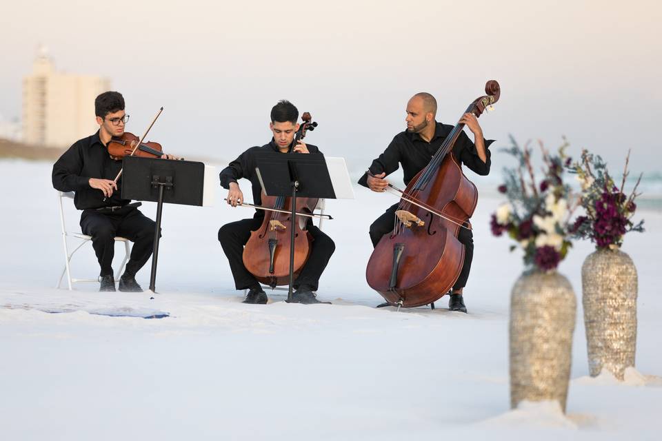 Beach wedding