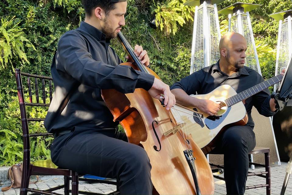 Cello + guitar
