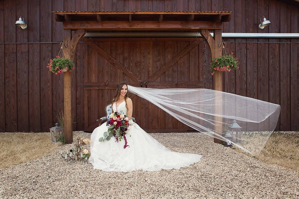 Bridal Portraits