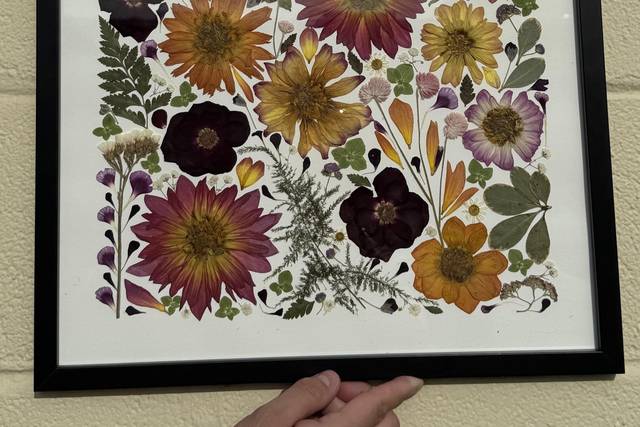 Pressed Flowers
