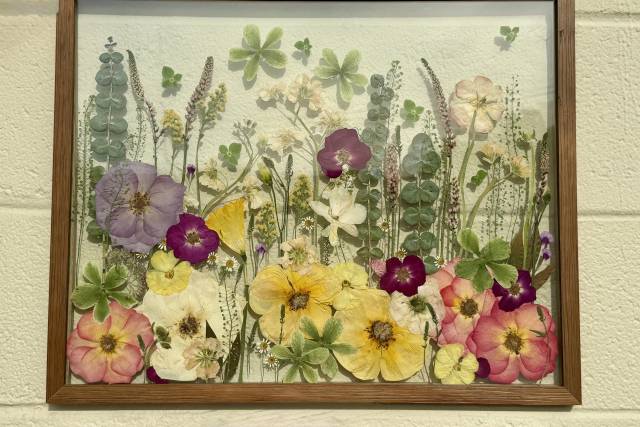 Pressed Flowers