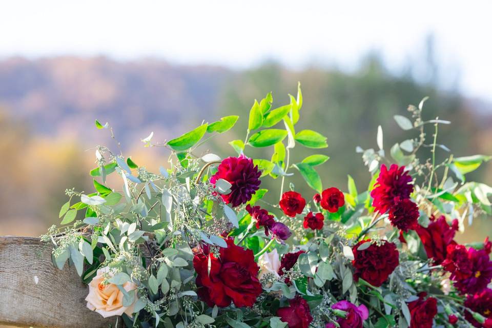 Dahlias