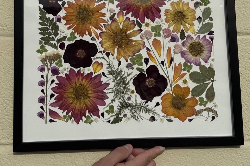 Pressed Flowers