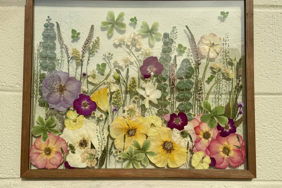 Pressed Flowers