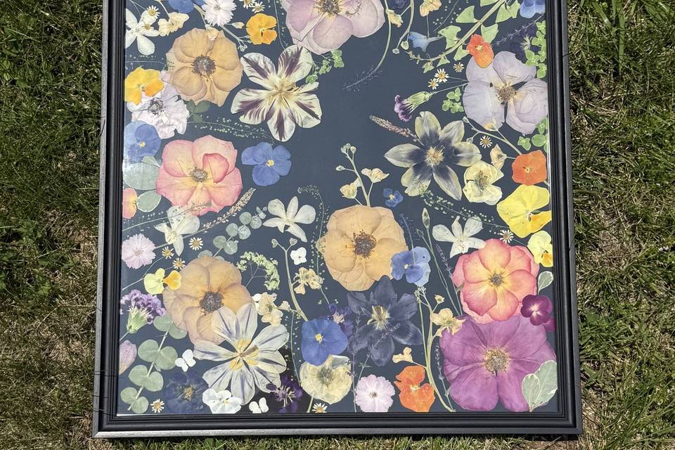 Pressed Flowers