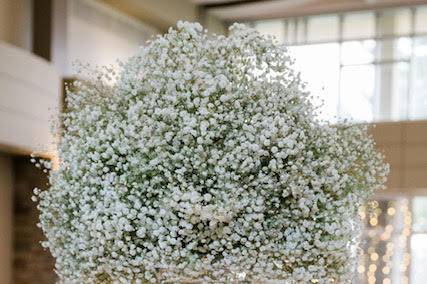 Baby's breath centerpiece