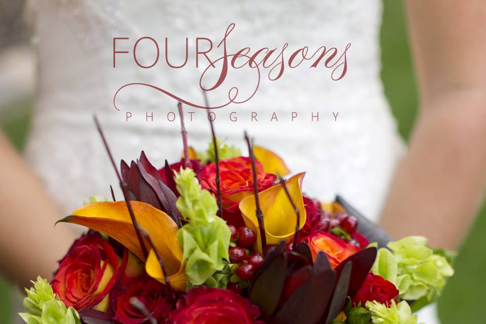 Four Seasons Photography