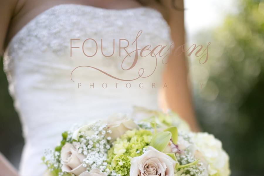 Four Seasons Photography