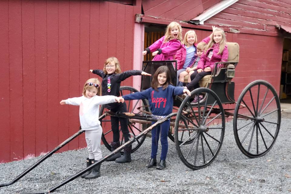 Wedding Carriage Kids