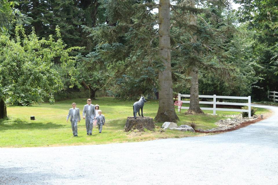 Wedding Party in Garden Lawn