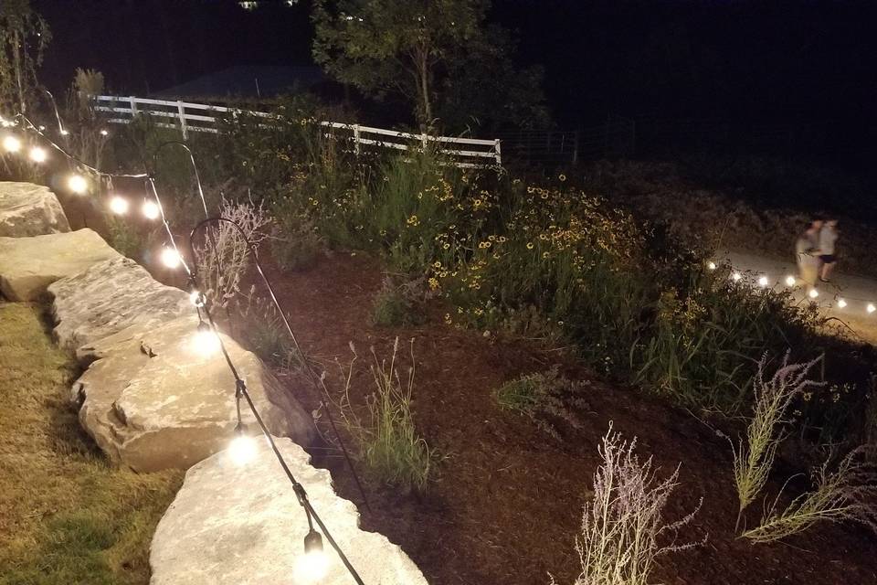 Hillside & Path at Night