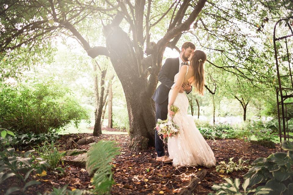 Under the Apple Tree