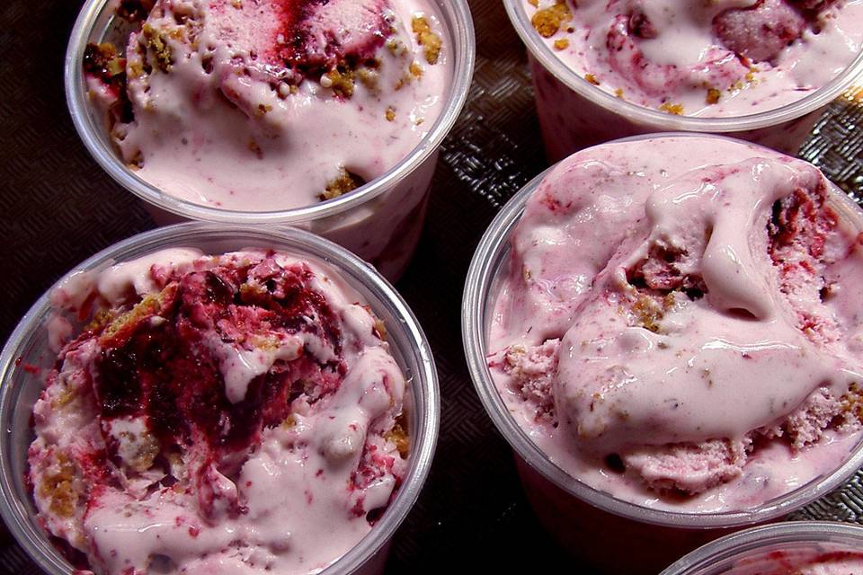 Zsa's Ice Cream sample flavor