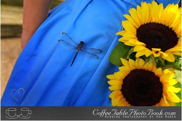 Coffee Table Photo Book