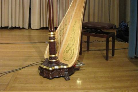 Harp for Velentine's Day!