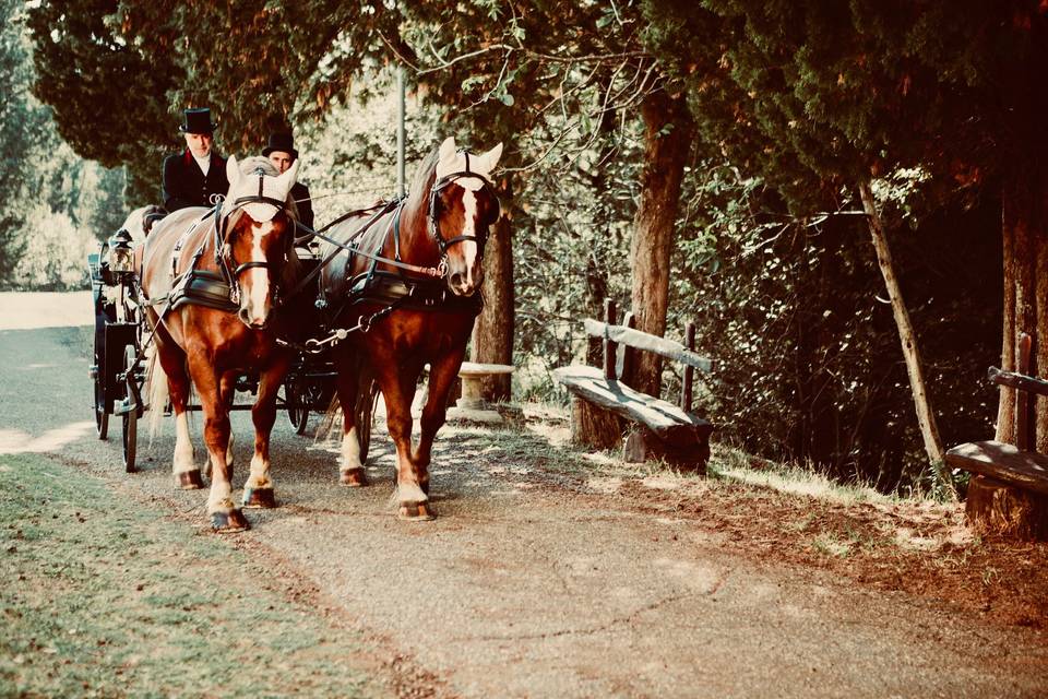 Catering-tuscany