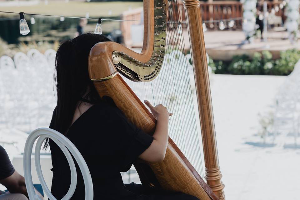 Harpist overlooking ceremony